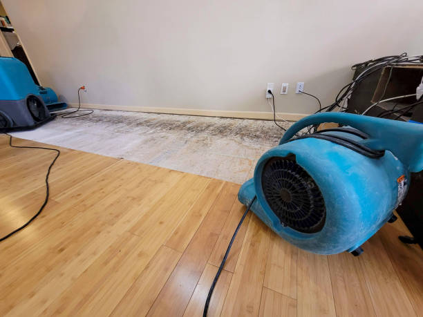 Professional Water Damage Repair technician working in Edgefield, SC